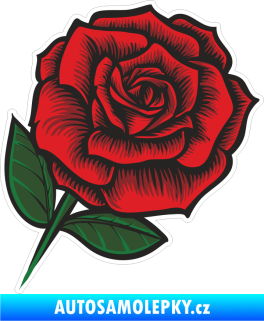 Samolepka Barevná růže 005 pravá