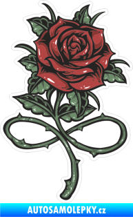 Samolepka Barevná růže 009 pravá infinity