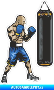 Samolepka Barevný boxer 001 pravá s boxovacím pytlem