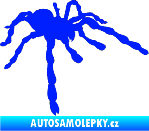 Samolepka Pavouk 013 - pravá modrá dynamic