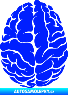 Samolepka Mozek 001 levá modrá dynamic