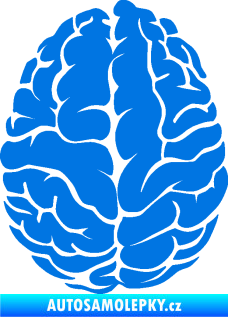 Samolepka Mozek 001 levá modrá oceán