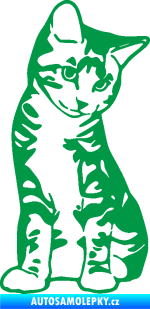 Samolepka Koťátko 006 pravá zelená
