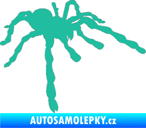 Samolepka Pavouk 013 - pravá tyrkysová