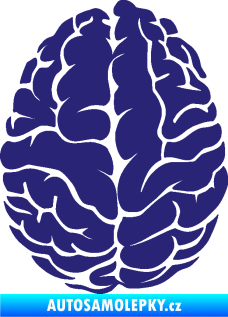 Samolepka Mozek 001 levá střední modrá