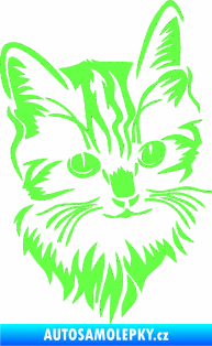 Samolepka Kočka 018 pravá Fluorescentní zelená