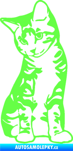 Samolepka Koťátko 006 levá Fluorescentní zelená