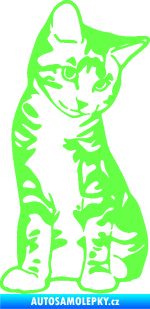 Samolepka Koťátko 006 pravá Fluorescentní zelená