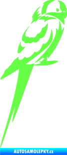 Samolepka Papoušek 004 pravá Fluorescentní zelená