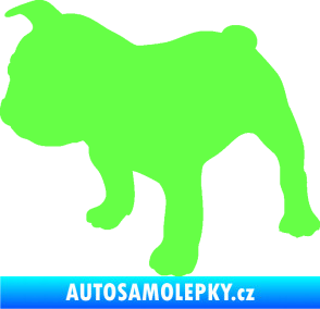 Samolepka Pes 108 levá Francouzský buldoček Fluorescentní zelená