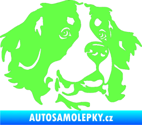 Samolepka Pes 131 pravá bernský salašnický pes Fluorescentní zelená