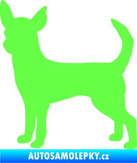 Samolepka Pes 137 levá čivava Fluorescentní zelená