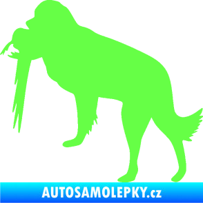 Samolepka Pes 193 levá lovecký s bažantem Fluorescentní zelená