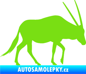 Samolepka Antilopa 001 pravá zelená kawasaki