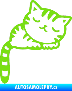 Samolepka Kočka 004 pravá zelená kawasaki