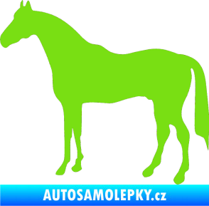 Samolepka Kůň 004 levá zelená kawasaki