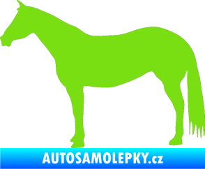 Samolepka Kůň 007 levá zelená kawasaki
