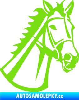 Samolepka Kůň 044 pravá zelená kawasaki