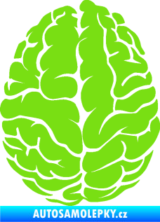 Samolepka Mozek 001 levá zelená kawasaki