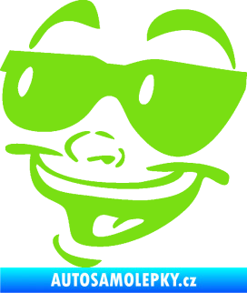 Samolepka Obličej 005 levá veselý s brýlemi zelená kawasaki