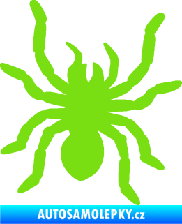 Samolepka Pavouk 014 pravá zelená kawasaki