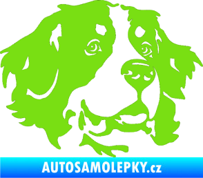 Samolepka Pes 131 pravá bernský salašnický pes zelená kawasaki