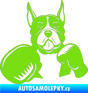 Samolepka Pes 183 levá boxer zelená kawasaki