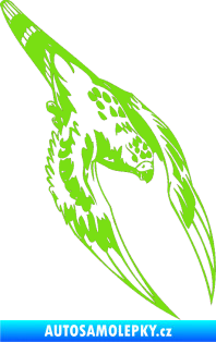 Samolepka Predators 063 pravá zelená kawasaki