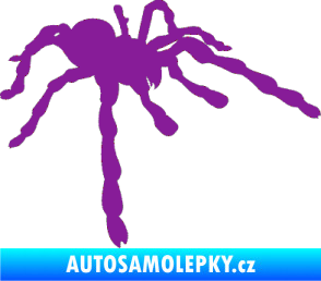 Samolepka Pavouk 013 - pravá fialová