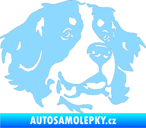 Samolepka Pes 131 pravá bernský salašnický pes světle modrá
