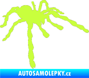Samolepka Pavouk 013 - pravá limetová