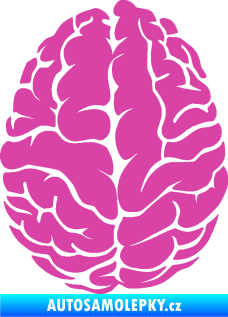 Samolepka Mozek 001 levá růžová