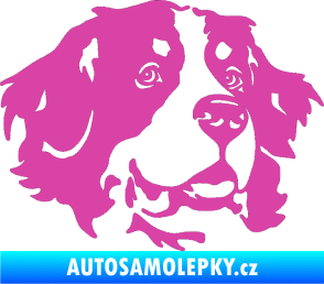 Samolepka Pes 131 pravá bernský salašnický pes růžová