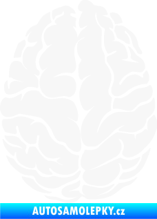 Samolepka Mozek 001 levá bílá