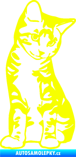 Samolepka Koťátko 006 pravá Fluorescentní žlutá