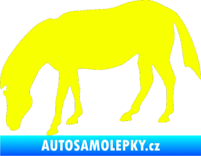 Samolepka Kůň 006 levá na pastvě Fluorescentní žlutá