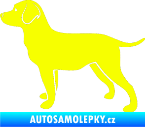 Samolepka Pes 062 levá Labrador Fluorescentní žlutá