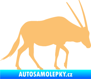 Samolepka Antilopa 001 pravá béžová
