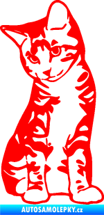 Samolepka Koťátko 006 levá Fluorescentní červená