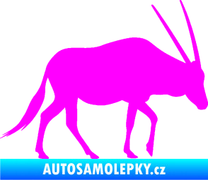 Samolepka Antilopa 001 pravá Fluorescentní růžová