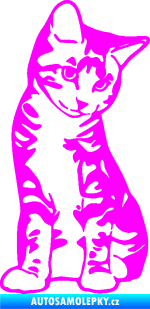 Samolepka Koťátko 006 pravá Fluorescentní růžová