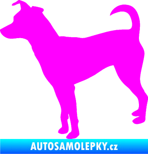Samolepka Pes 100 levá Pražský krysařík Fluorescentní růžová