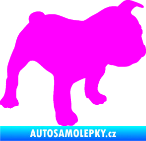 Samolepka Pes 108 pravá Francouzský buldoček Fluorescentní růžová