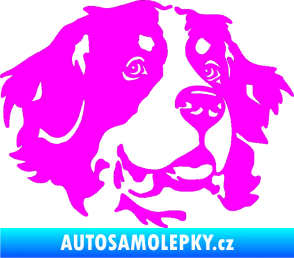 Samolepka Pes 131 pravá bernský salašnický pes Fluorescentní růžová