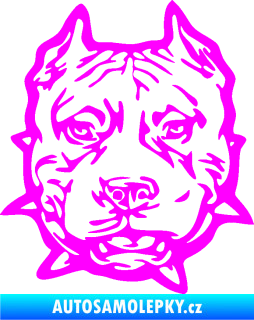 Samolepka Pitbull hlava 003 levá Fluorescentní růžová