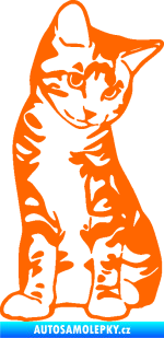 Samolepka Koťátko 006 pravá Fluorescentní oranžová
