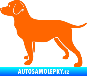 Samolepka Pes 062 levá Labrador Fluorescentní oranžová