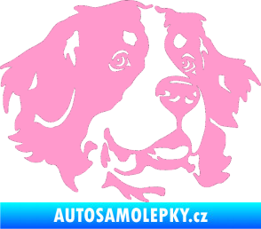 Samolepka Pes 131 pravá bernský salašnický pes světle růžová