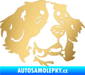 Samolepka Pes 131 pravá bernský salašnický pes zlatá metalíza