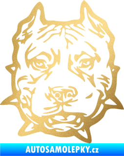 Samolepka Pitbull hlava 003 levá zlatá metalíza